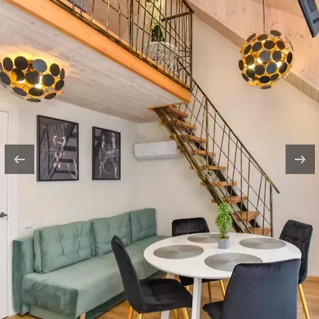 Ciki Puki Loftas * Palanga