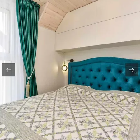 Ciki Puki Loftas Palanga